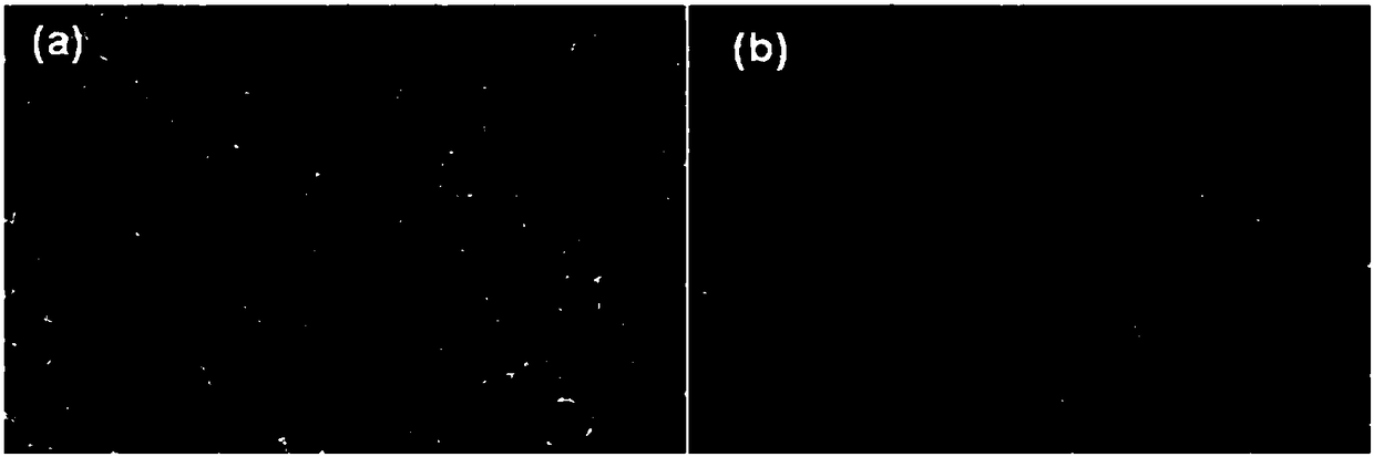 Macroporous Prussian blue nanoparticles and preparation method thereof