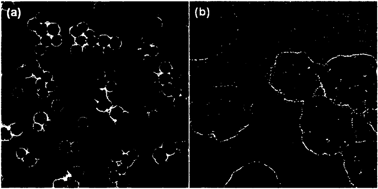 Macroporous Prussian blue nanoparticles and preparation method thereof