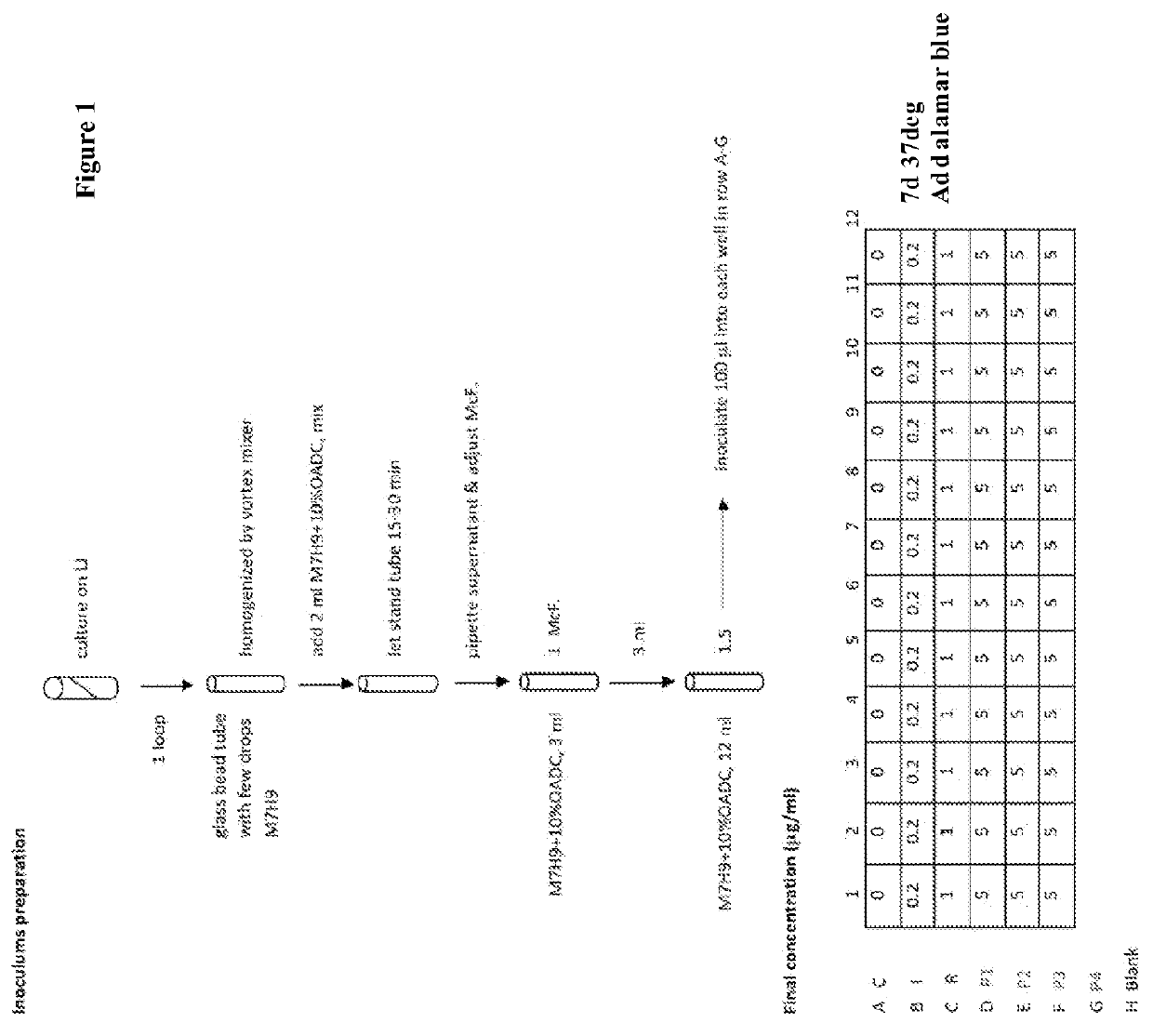 Compositions and methods for treating tuberculosis