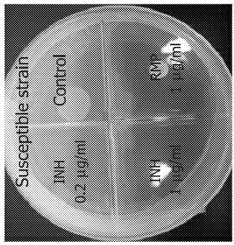 Compositions and methods for treating tuberculosis