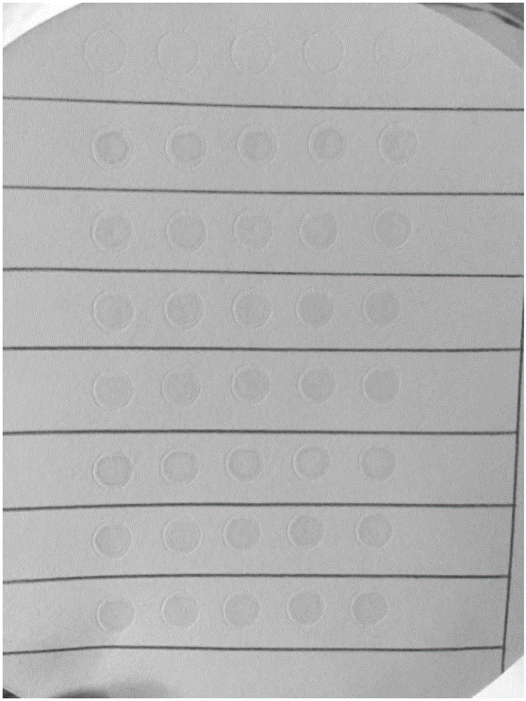 Paper chip gray value recognition method and application thereof