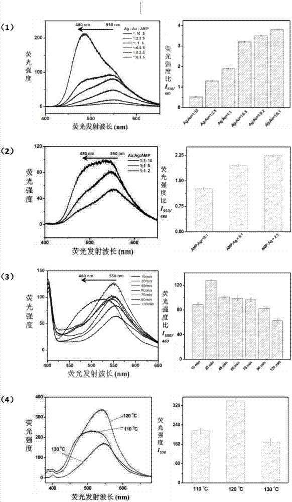 Hydrothermal method synthesized photosensitive gold-silver alloy nanocluster adopting micromolecular adenosine monophosphate as protection ligand