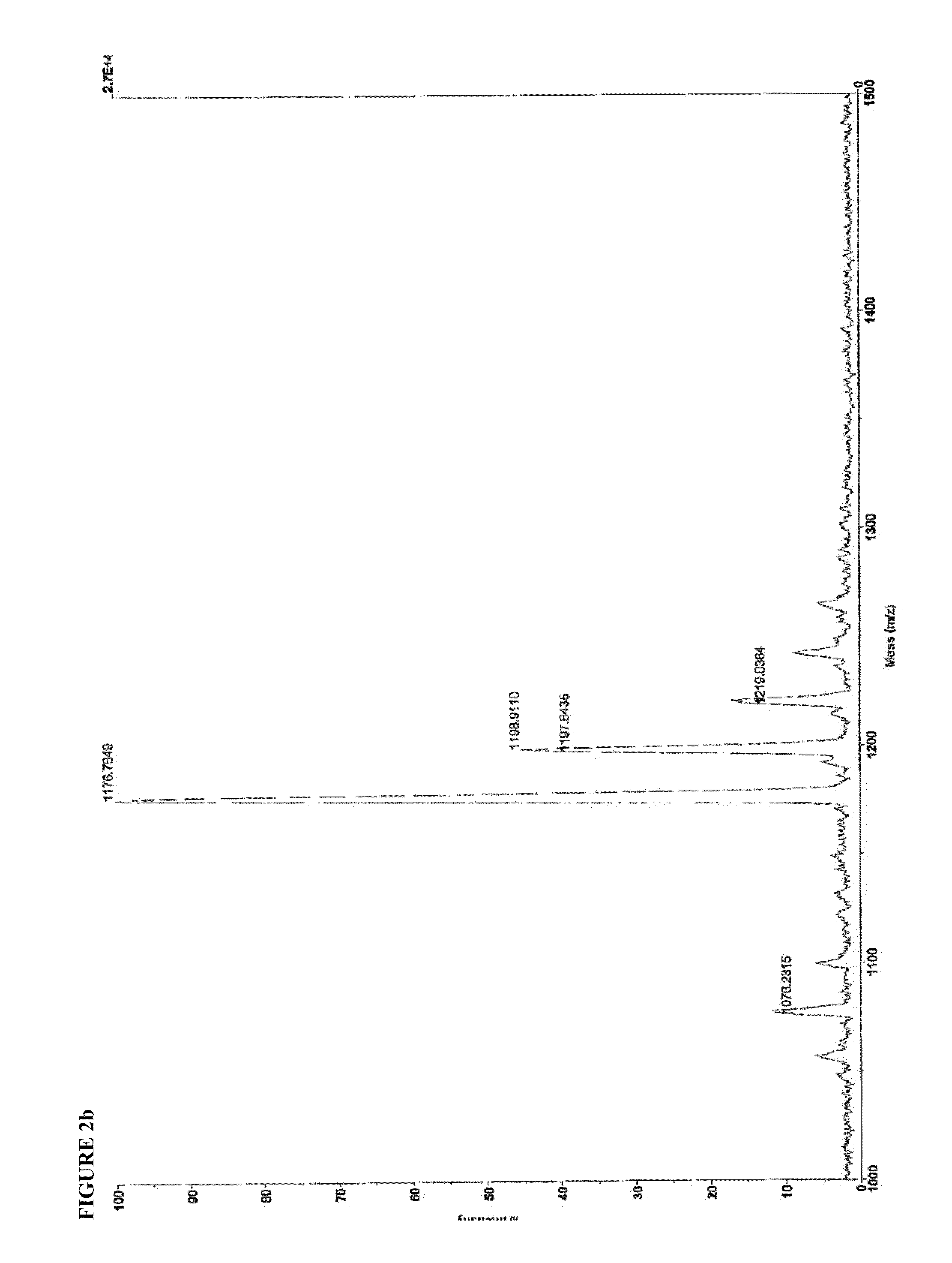 Peptide-based scaffolds for cartilage regeneration and methods for their use