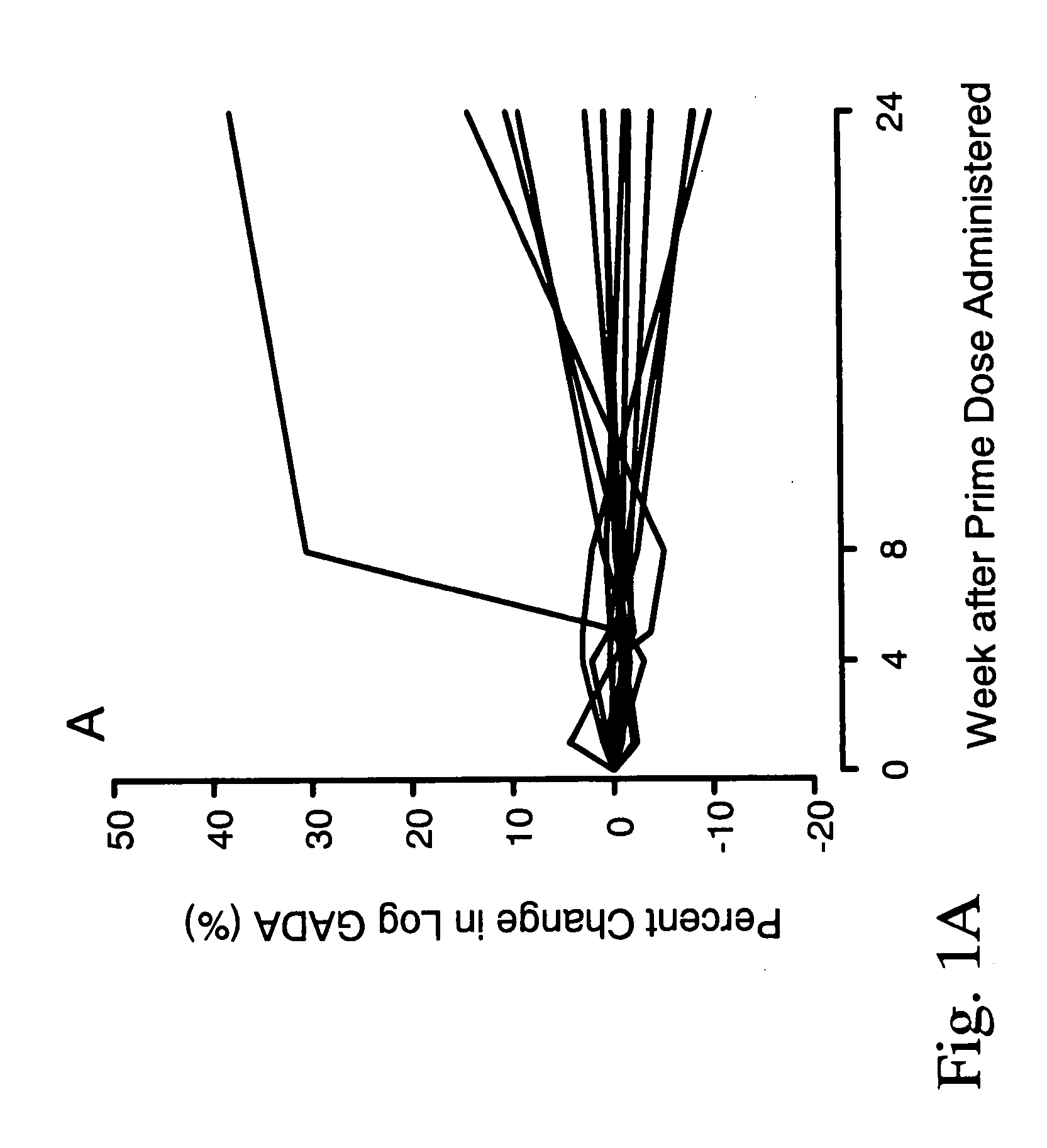 Immunomodulation by a therapeutic medication intended for treatment of diabetes and prevention of autoimmune diabetes