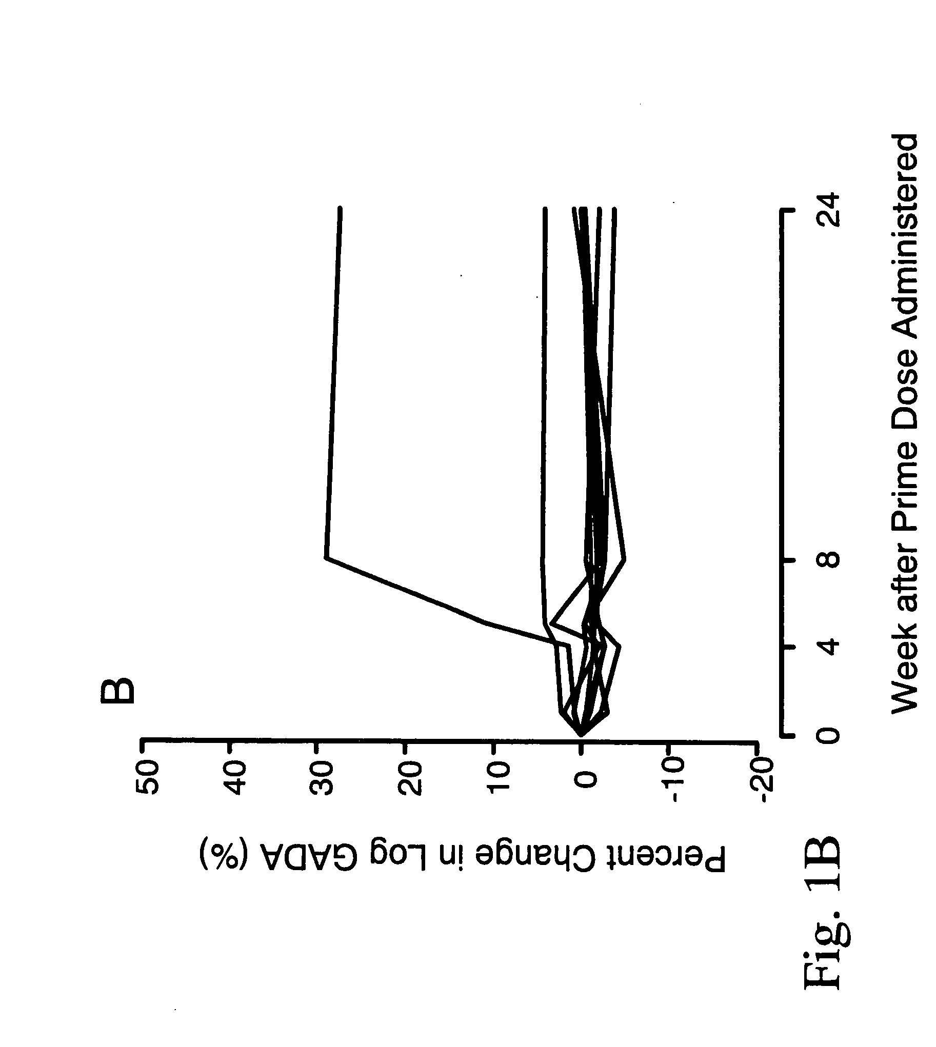 Immunomodulation by a therapeutic medication intended for treatment of diabetes and prevention of autoimmune diabetes