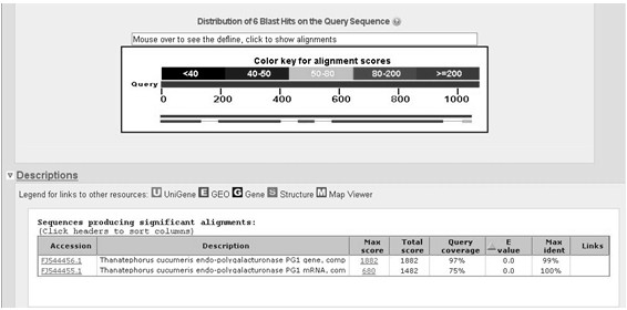 Primers for amplifying Rrspgl, core fragment of gene and application of core fragment