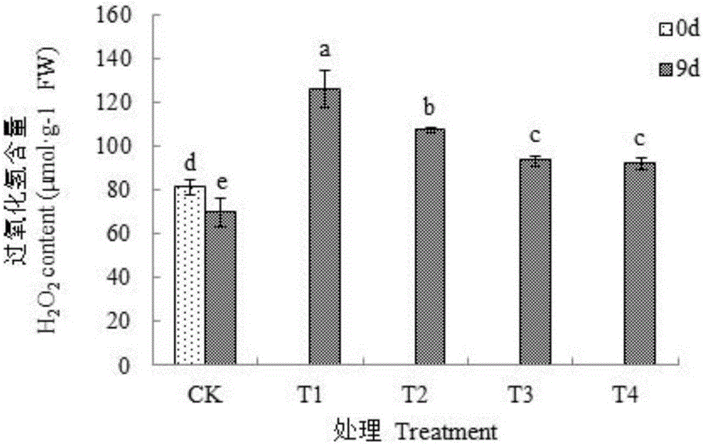 Method for relieving drought stress of Actinidia chinensis fruit trees