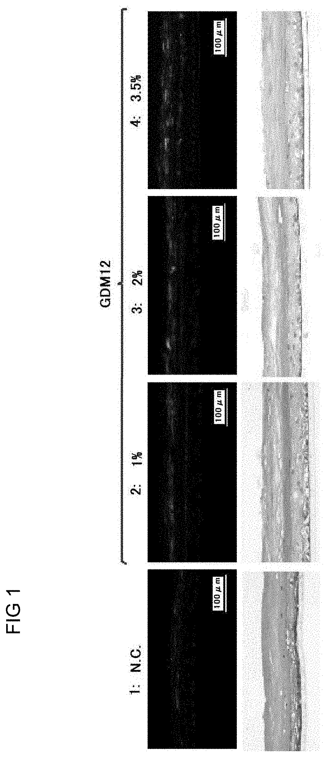 Method for enhancing expression of moisturizing-related substance in epidermis