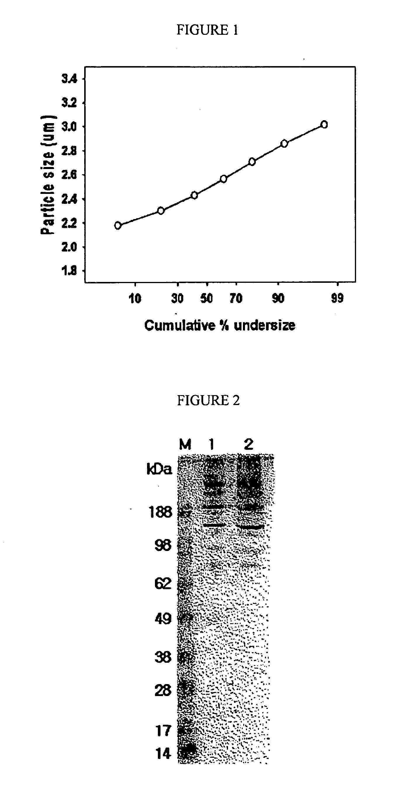 Spray-dried collectin compositions and process for preparing the same