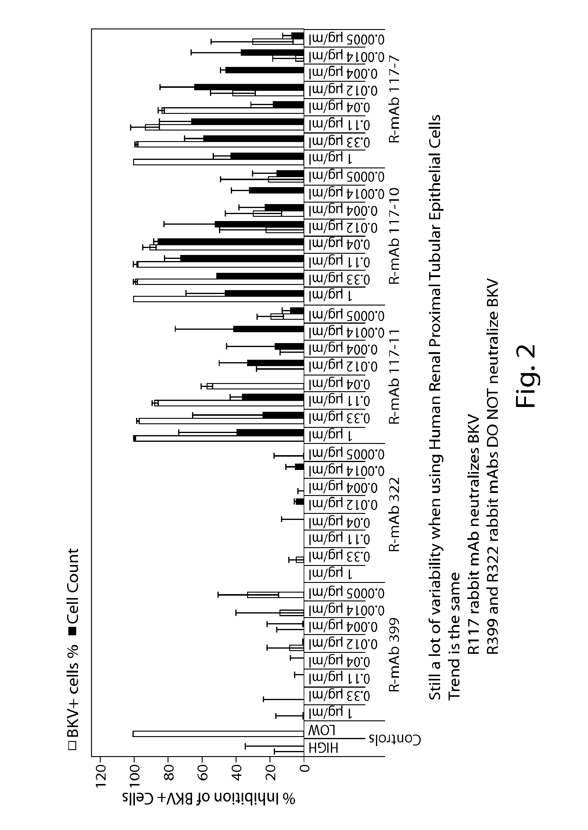 Jcv neutralizing antibodies