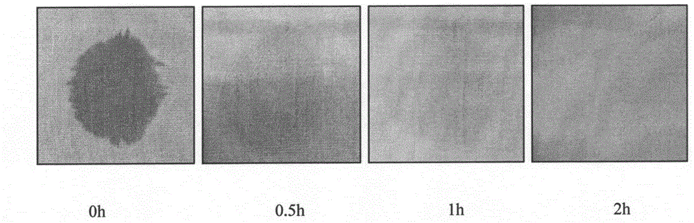 Preparation method of long-acting photocatalytic self-cleaning fabric