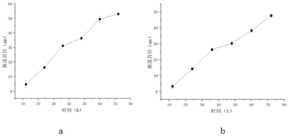 High-temperature-resistant mucorales and application thereof