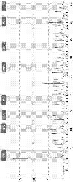 Detection kit for auxiliary diagnosis of cerebral arteriovenous malformation and application of detection kit