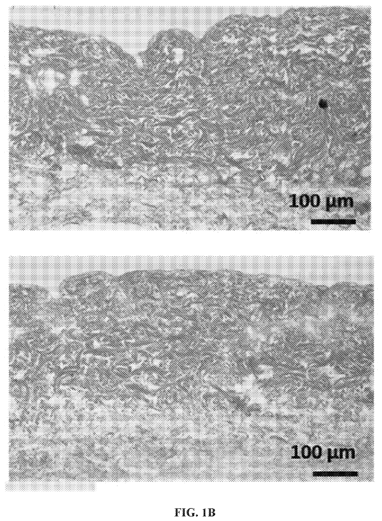 Compositions and methods useful in regenerative medicine