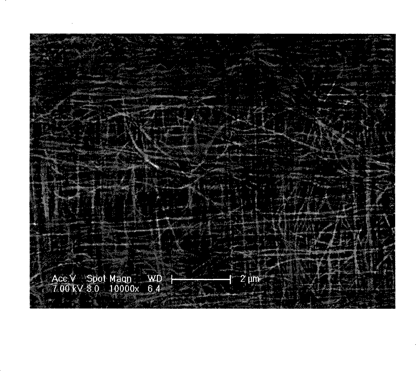 Composite electromagnetic shielding material and preparation method thereof