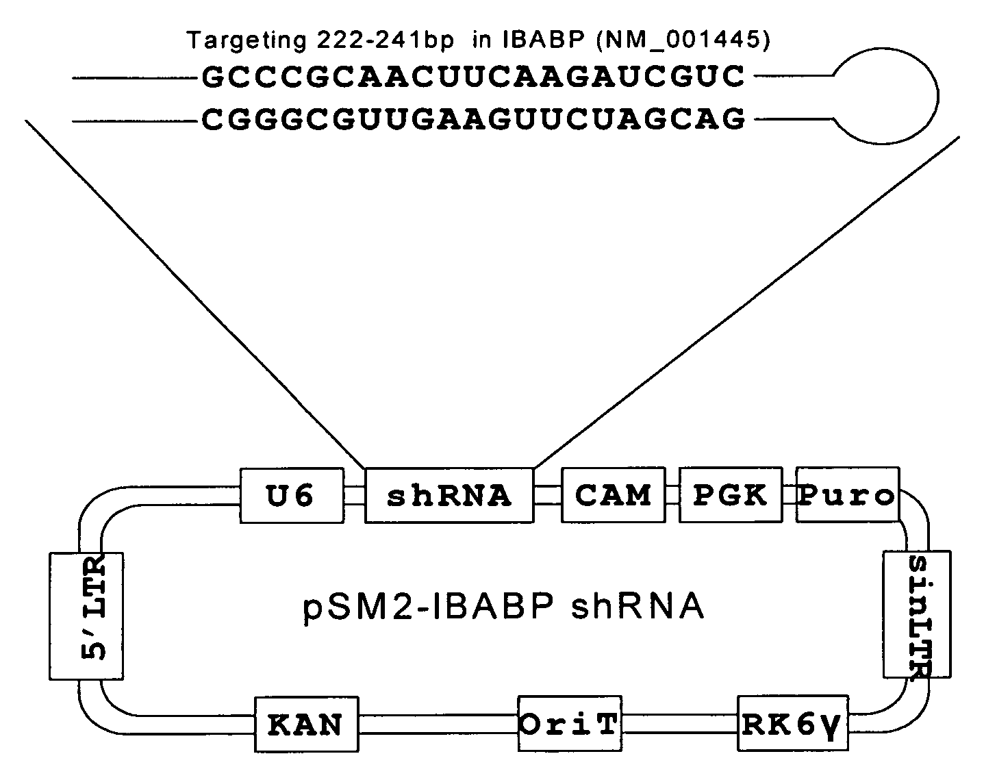 Compositions and methods for treatment of colorectal cancer