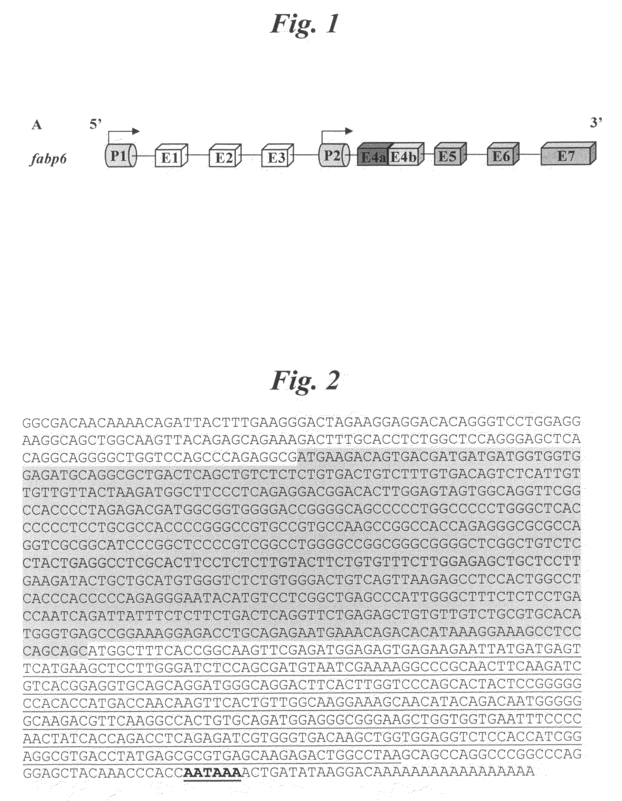 Compositions and methods for treatment of colorectal cancer