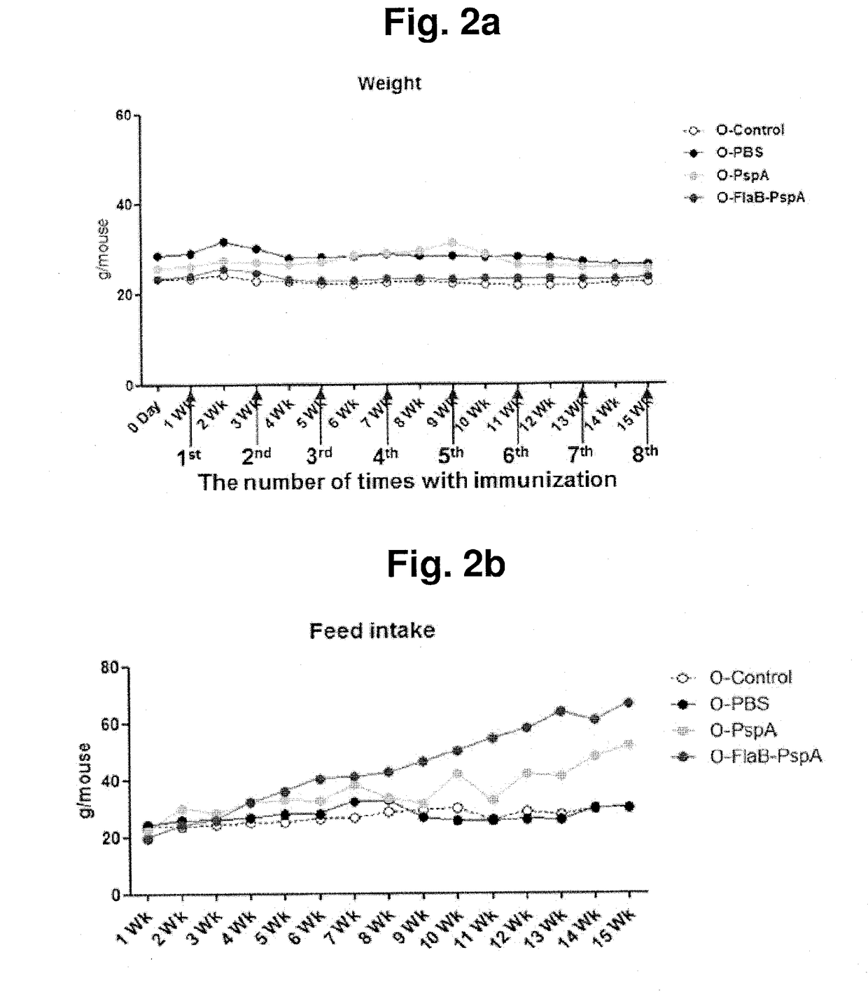 Composition comprising recombinant fusion protein of pathogenic antigen protein and flagellin of vibrio vulnificus for preventing, alleviating, or treating aging