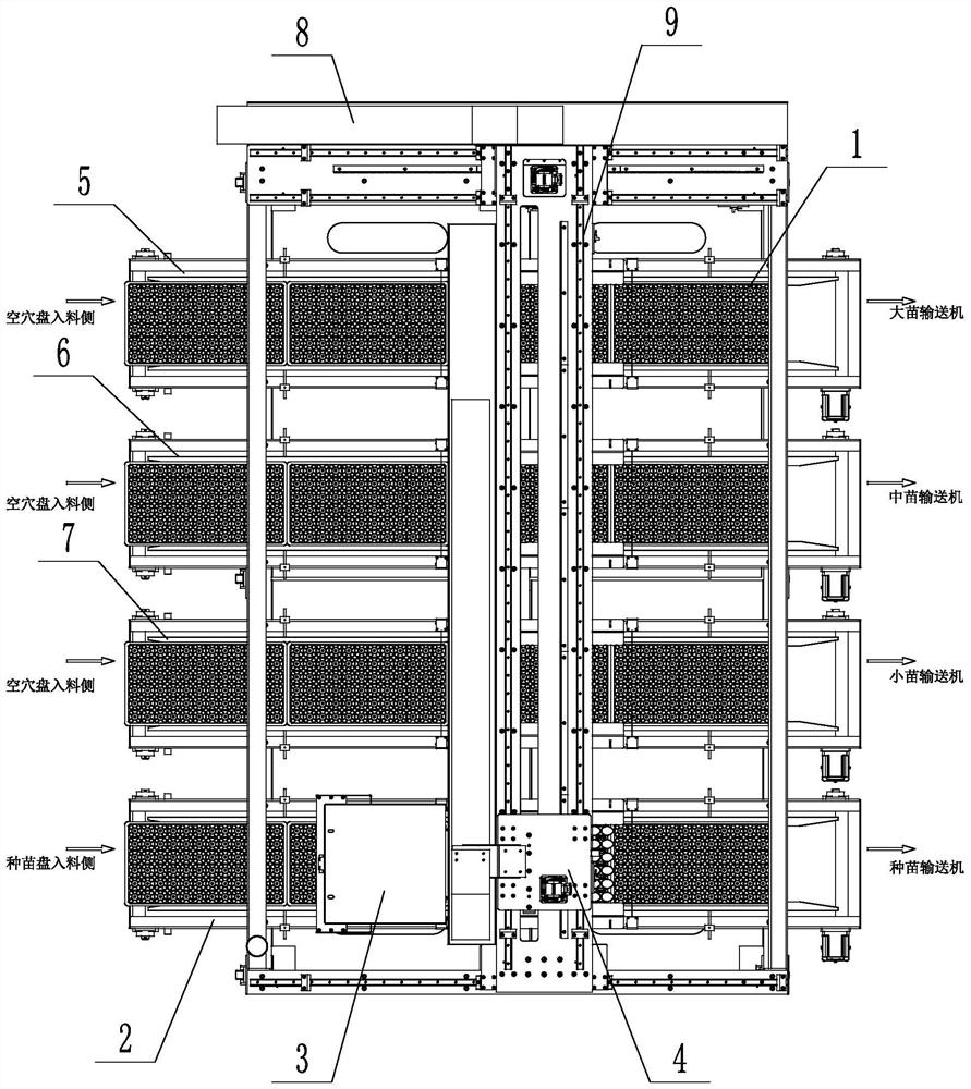 Intelligent grading equipment for vegetable seedlings