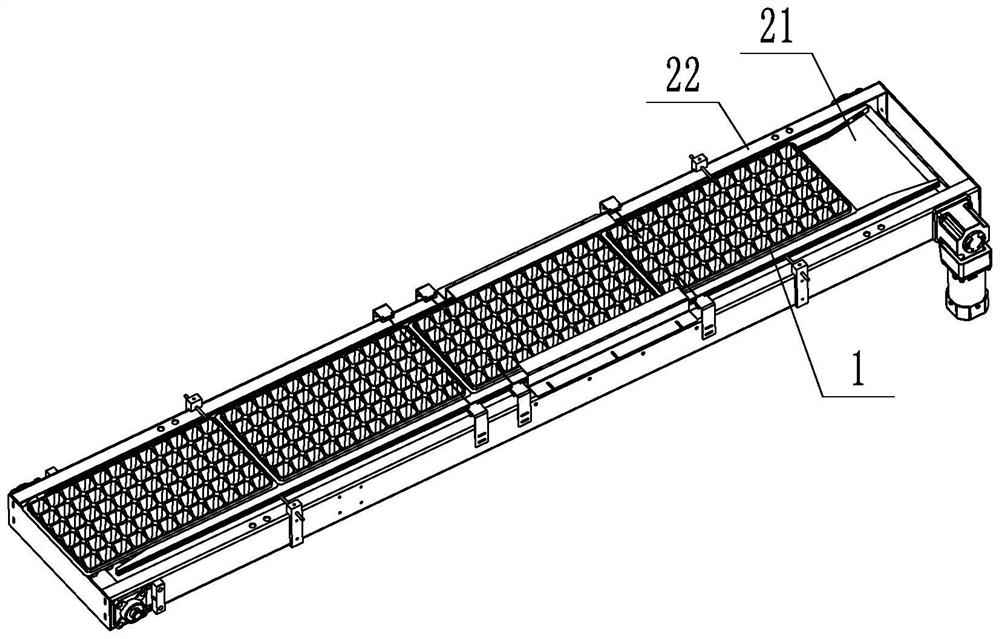 Intelligent grading equipment for vegetable seedlings