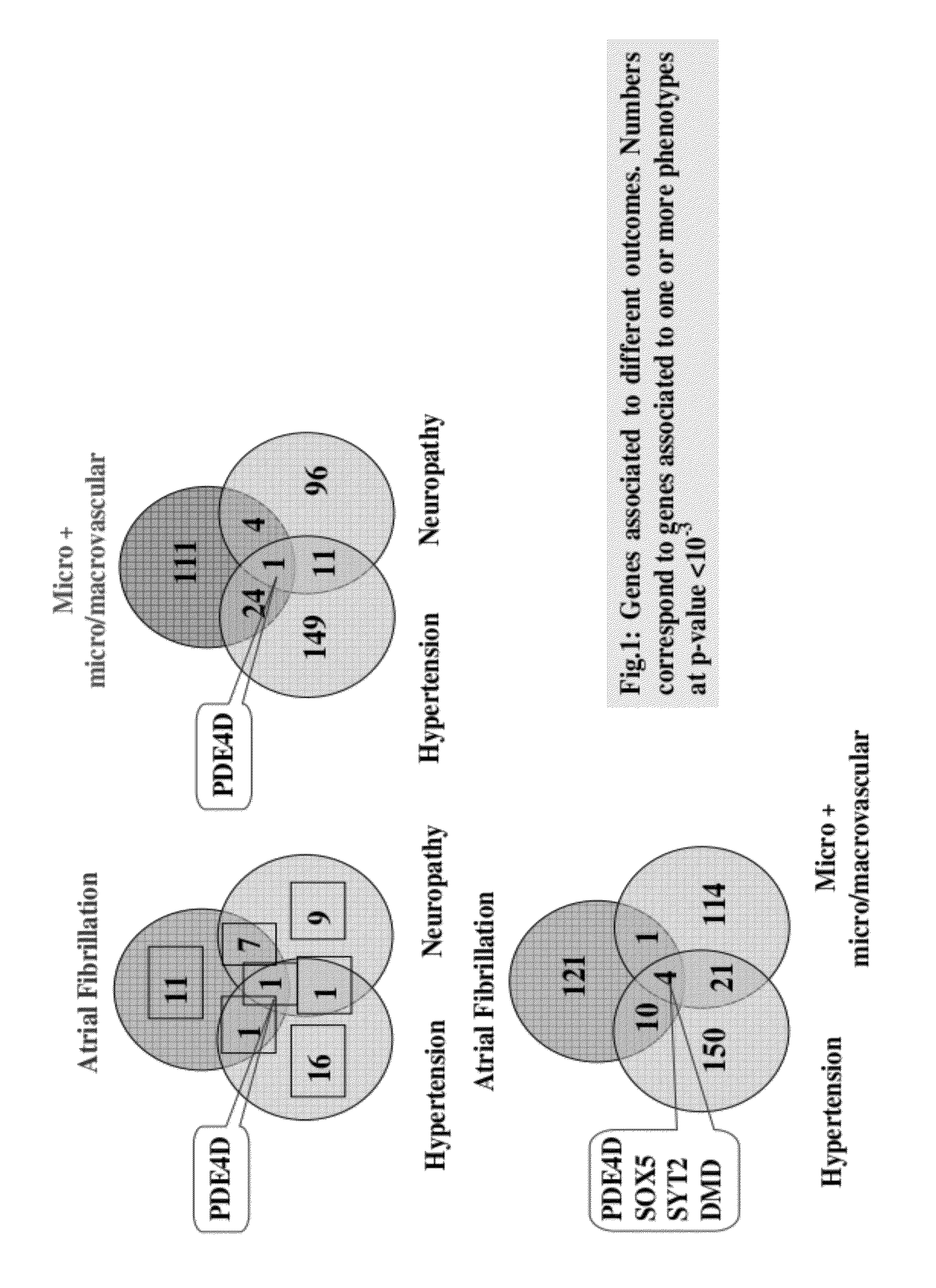 Genes linking several complications of type-2 diabetes (T2D)