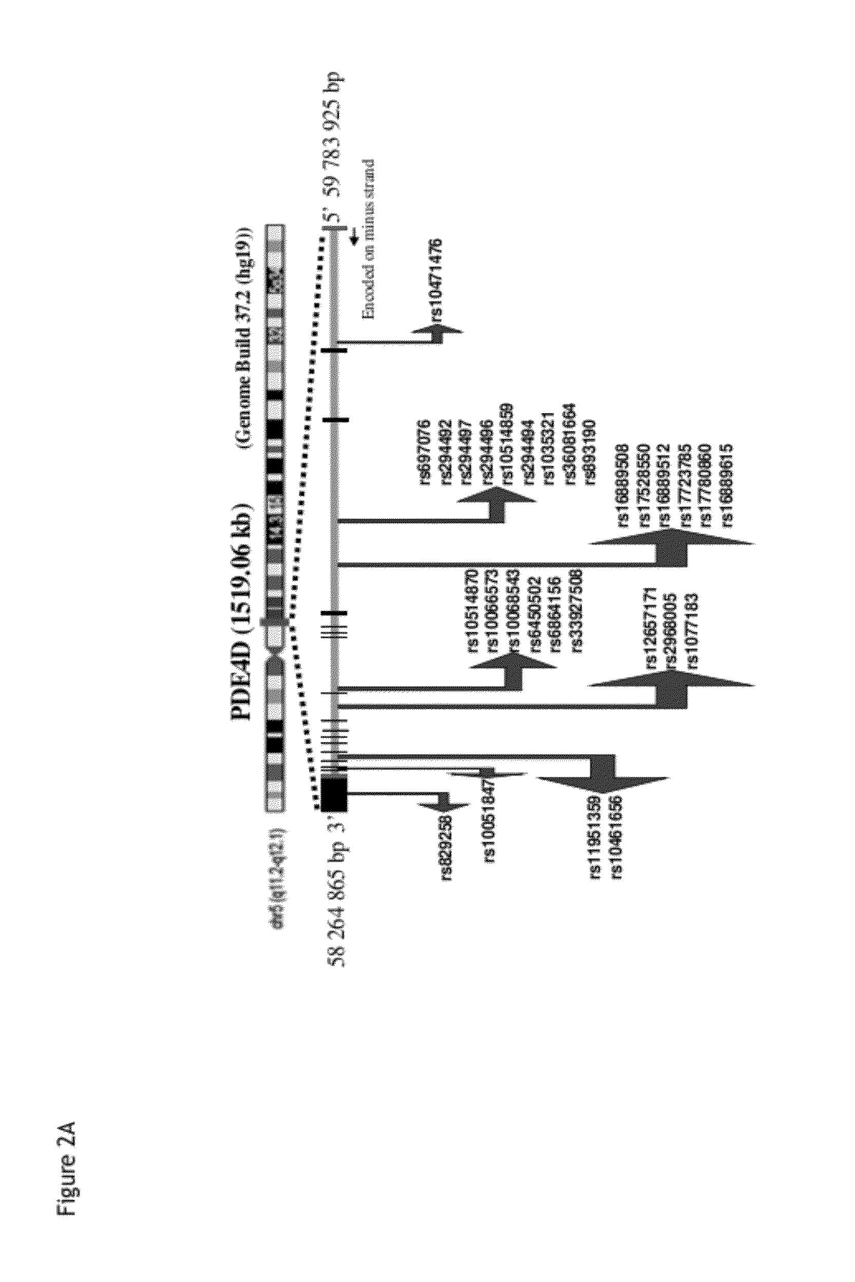 Genes linking several complications of type-2 diabetes (T2D)