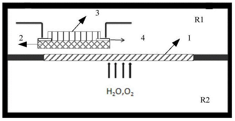 Method and packaging structure for detecting water and oxygen penetration rate of back plate