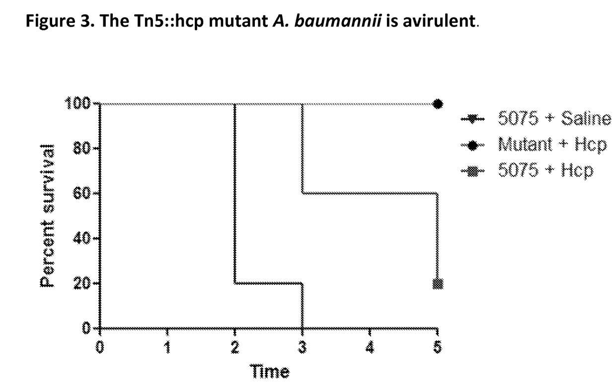 Monoclonal antibodies for treatment of microbial infections