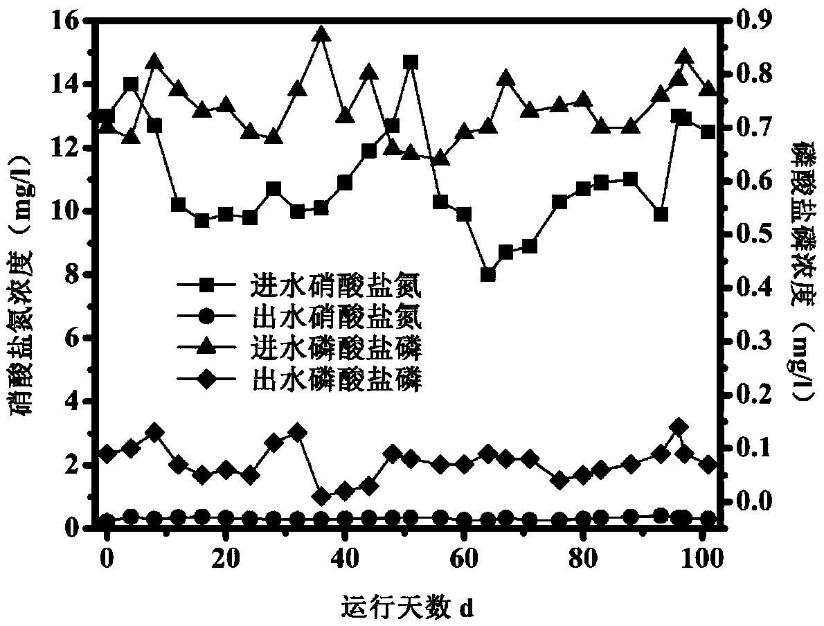 Method for synchronously removing nitrogen and phosphorus in mixed nutritional biofilter based on pyrite