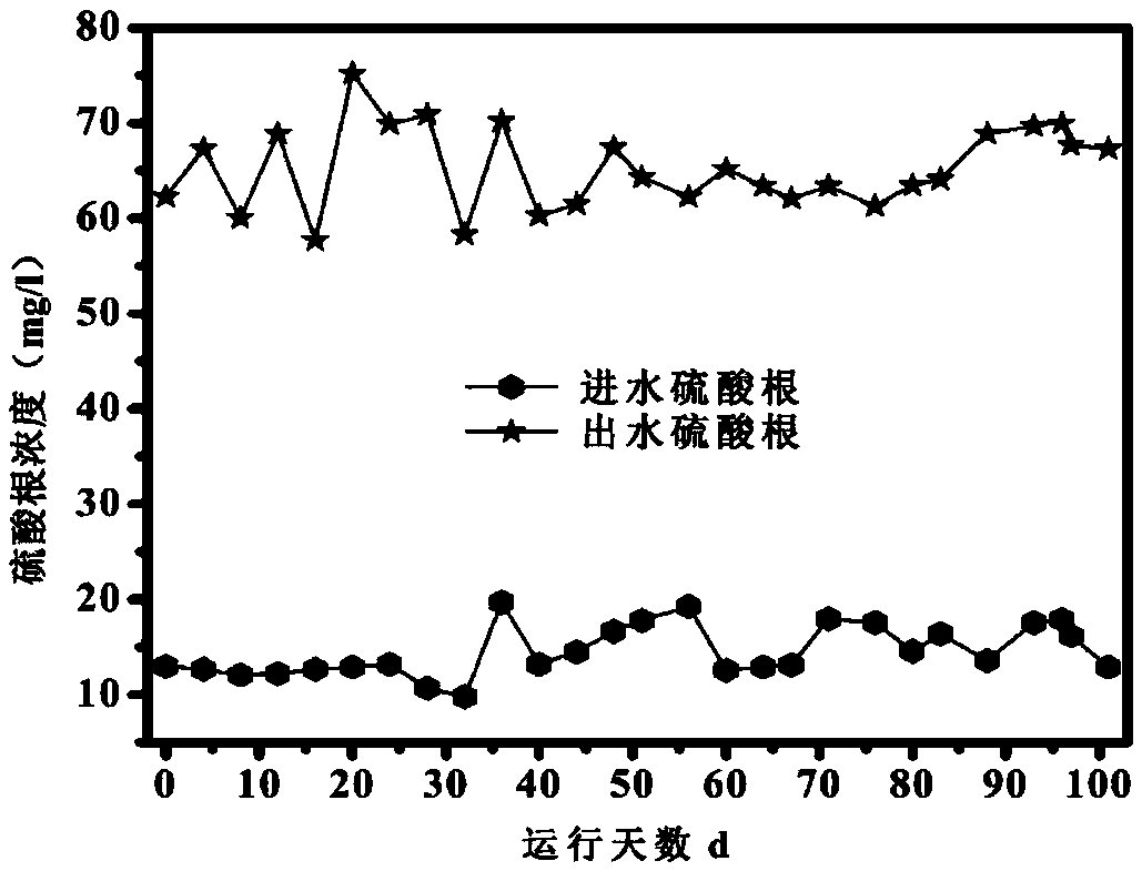 Method for synchronously removing nitrogen and phosphorus in mixed nutritional biofilter based on pyrite