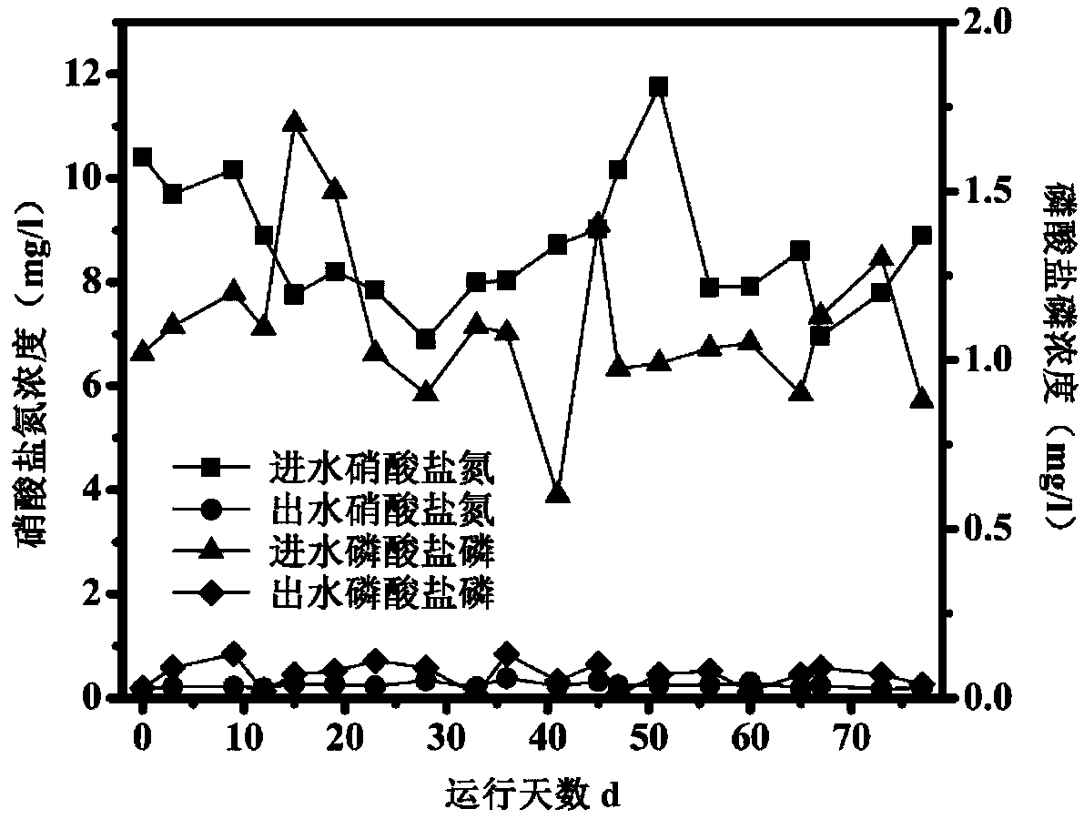 Method for synchronously removing nitrogen and phosphorus in mixed nutritional biofilter based on pyrite