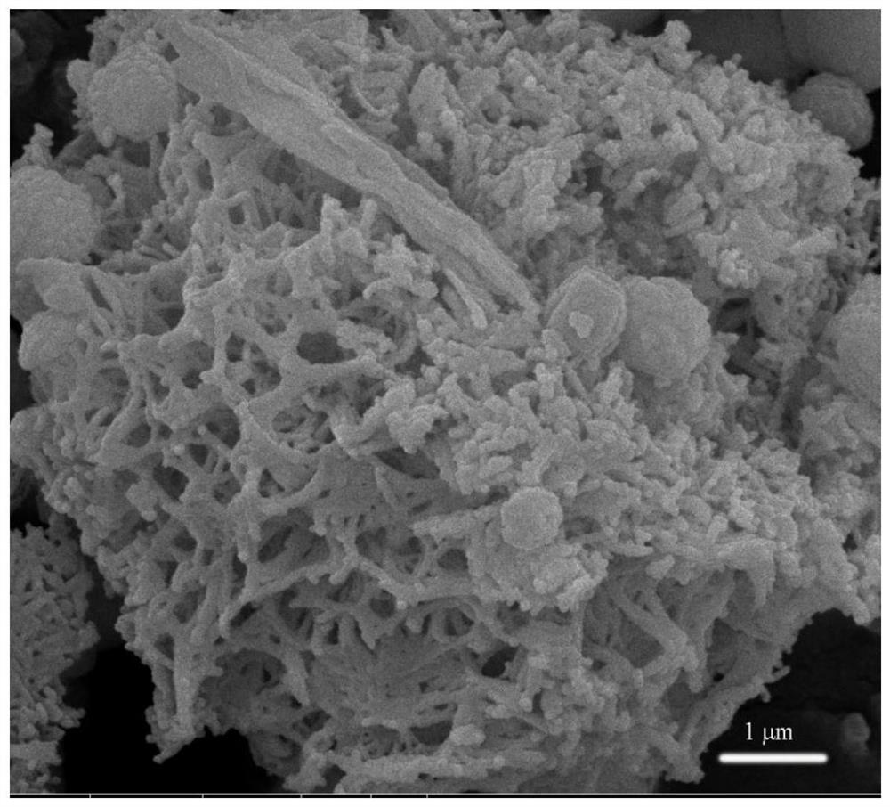 Preparation and application of porous basic lanthanum carbonate phosphate adsorbent