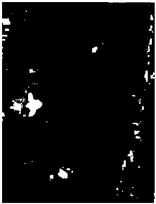 Method for dividing urban rainstorm waterlogging evaluation units based on Voronoi diagram