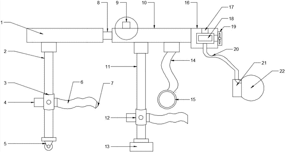 Fixing and anesthetizing device for veterinary practice