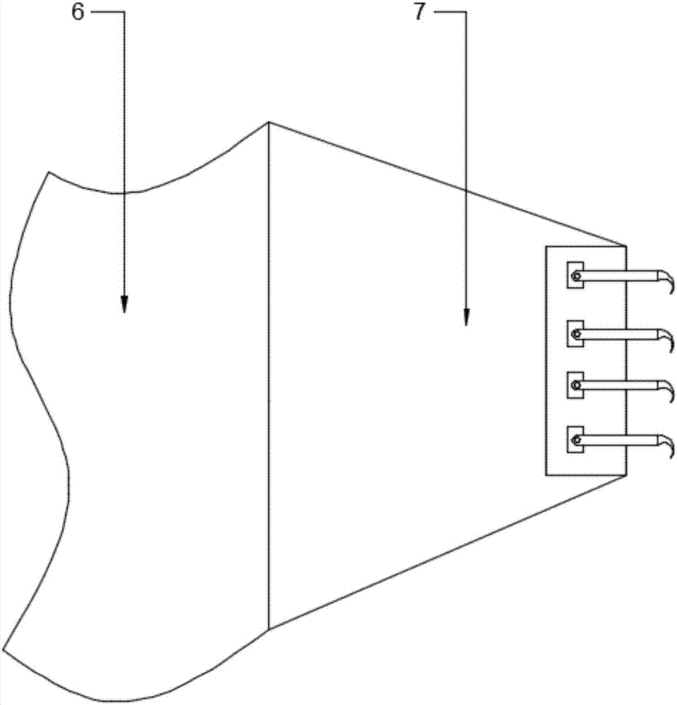 Fixing and anesthetizing device for veterinary practice