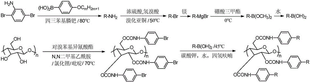 Synthetic method for cellulose derivative with large volume liquid crystal unit side group