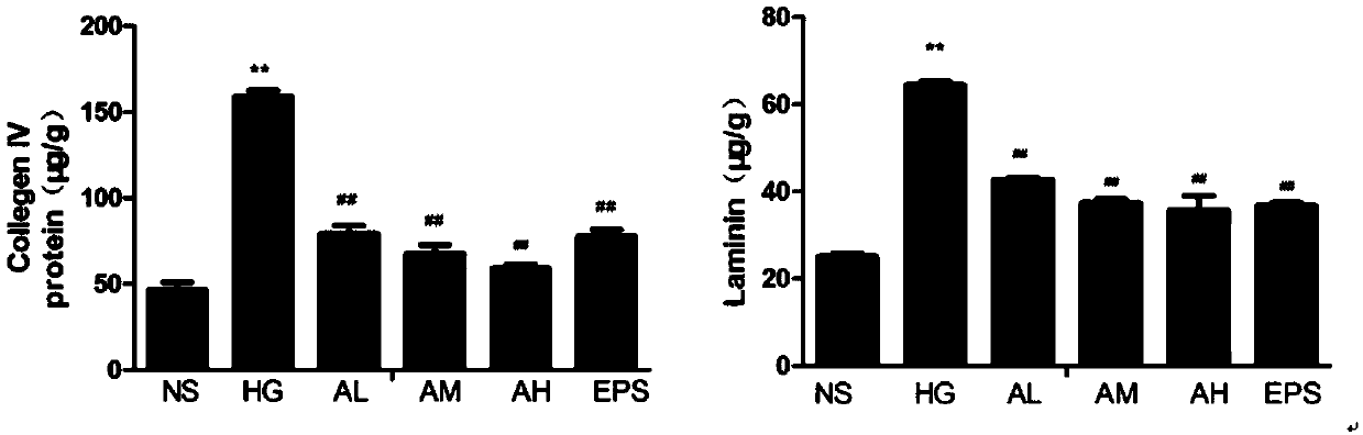 Application of appa in preparation of medicine for treating diabetic nephropathy