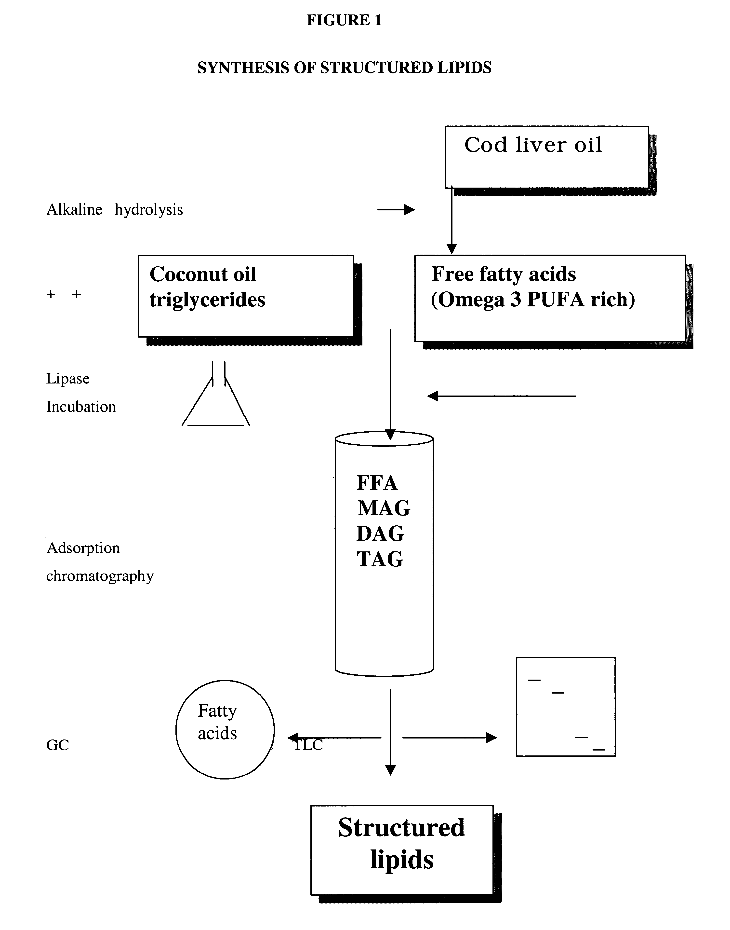 Cholesterol lowering structured lipids containing omega 3 polyunsaturated fatty acids and their process thereof