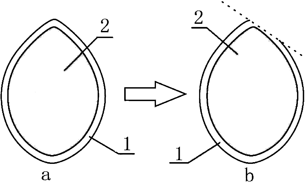 Seedling culturing method for prompting earliness and high yield of cucurbita maxima