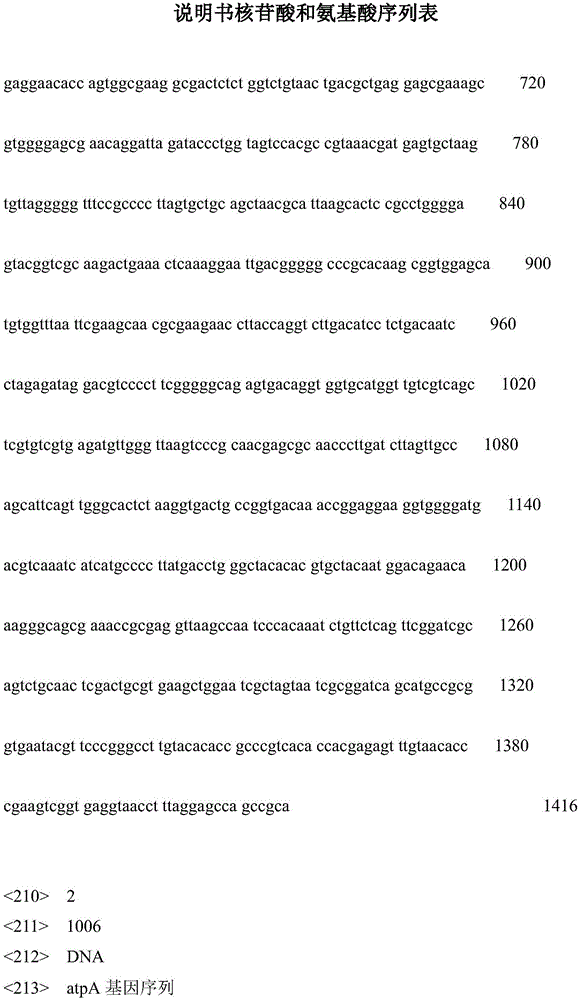 Compound microorganism deodorant and preparation method thereof