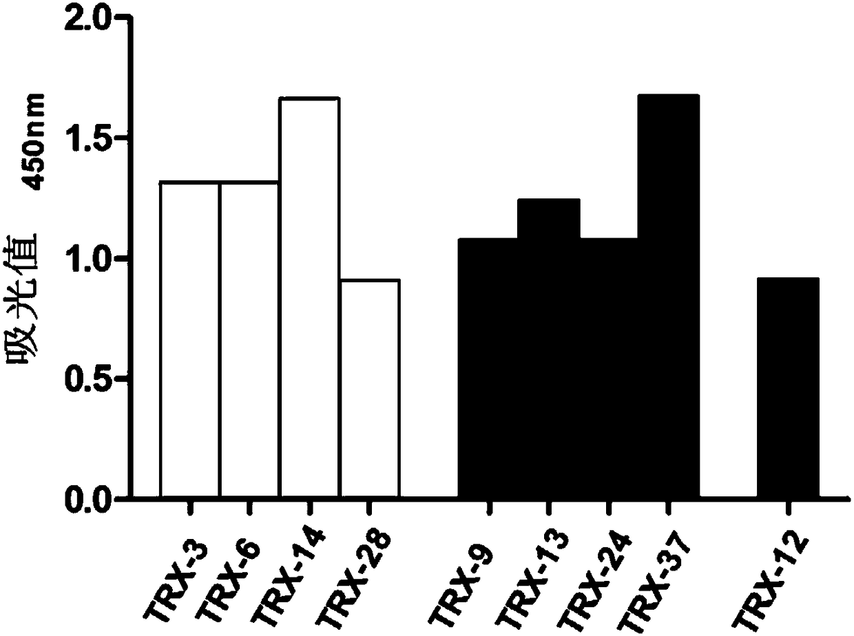 Anti-toxoplasma gondii TRX (Thioredoxin) nano-antibody, encoding gene and application thereof