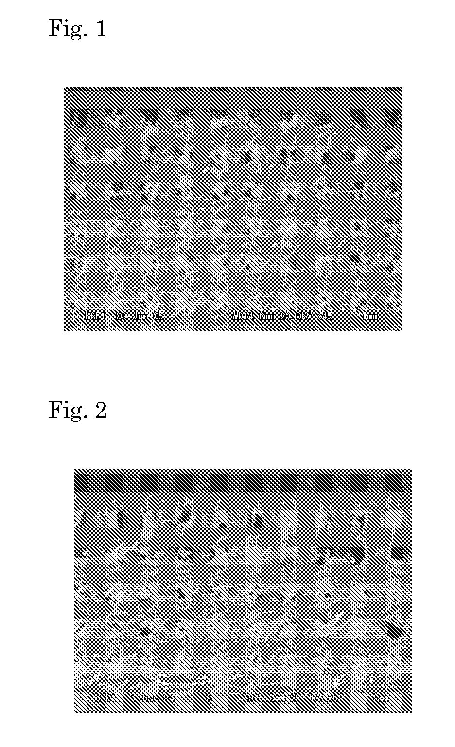 Polishing pad