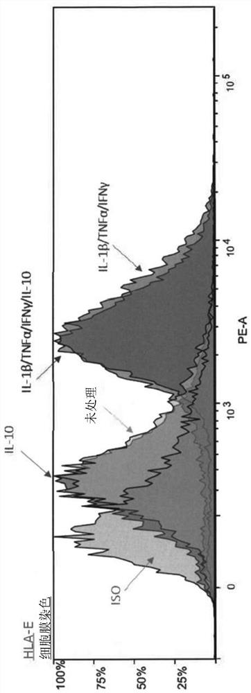 Cell composition comprising liver progenitor cells expressing hla-e