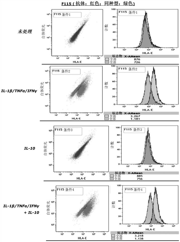 Cell composition comprising liver progenitor cells expressing hla-e