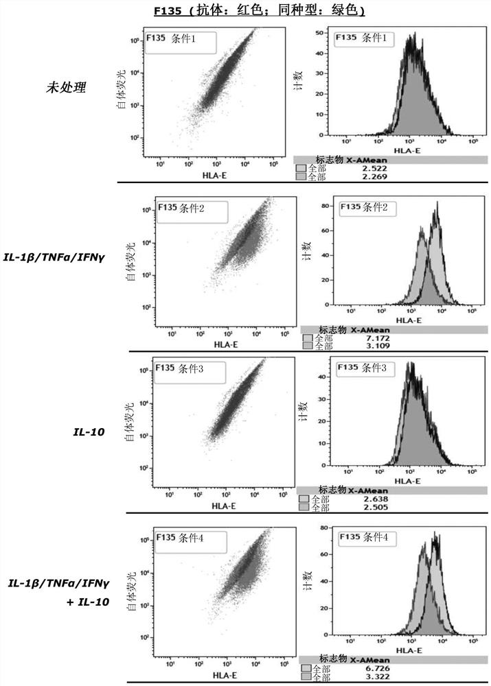 Cell composition comprising liver progenitor cells expressing hla-e