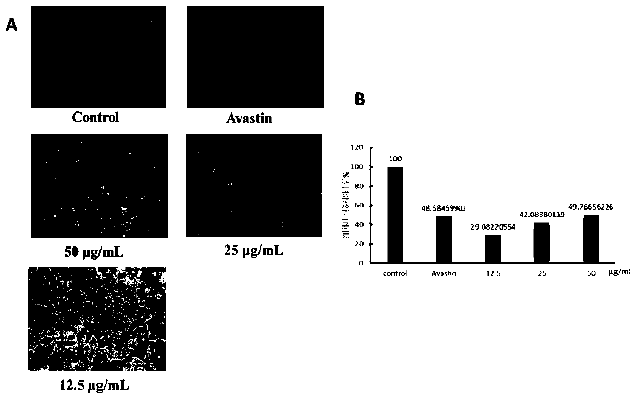 Application of atisane type diterpenoid