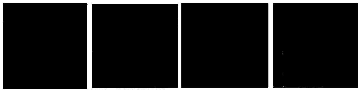 Application of atisane type diterpenoid