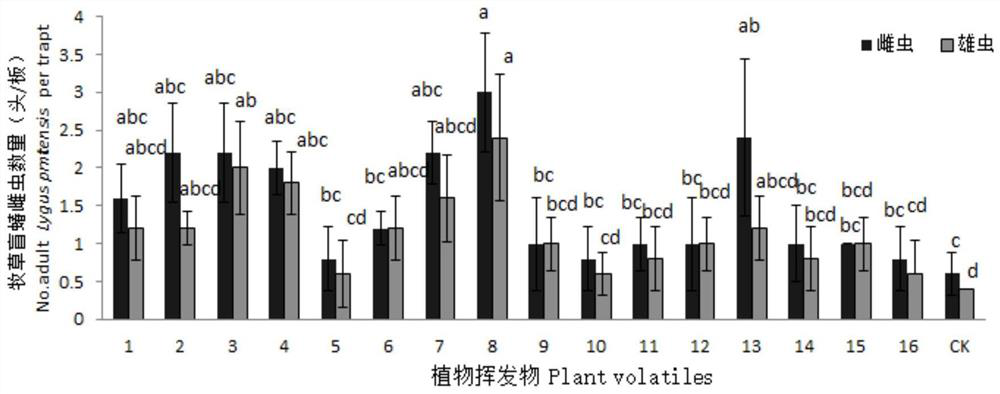 A Novel Attractant for Grass Lygus and Its Preparation Method and Application