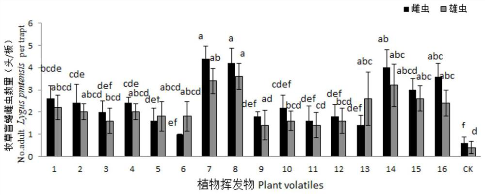 A Novel Attractant for Grass Lygus and Its Preparation Method and Application