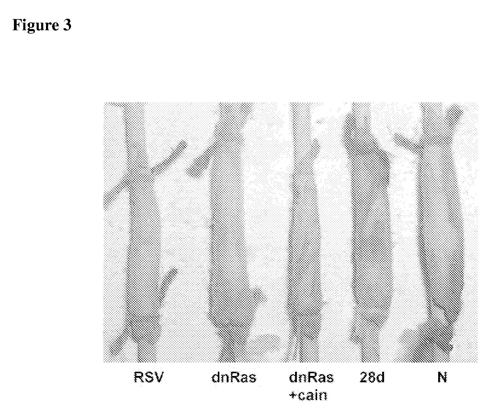 Methods and substances for stimulating muscle regeneration